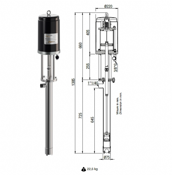 Bơm Chất Lỏng Đặc Z.P. Arrow MZ125/PZ70 Italy